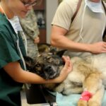 gestao-residuos-marica-veterinaria